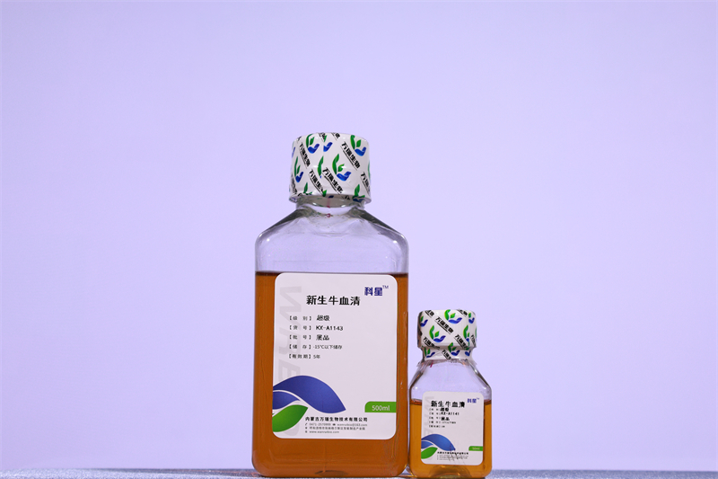 新生牛血清（超级）