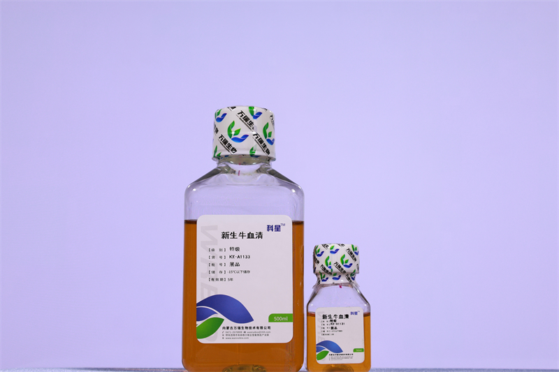 新生牛血清（特级）