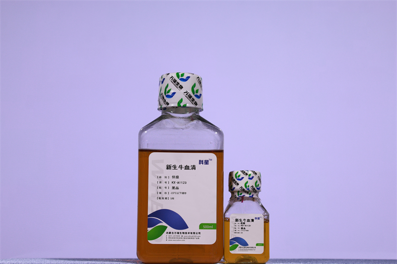 新生牛血清（优级）