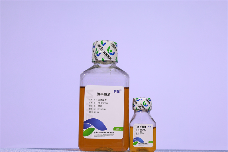 去外泌体胎牛血清